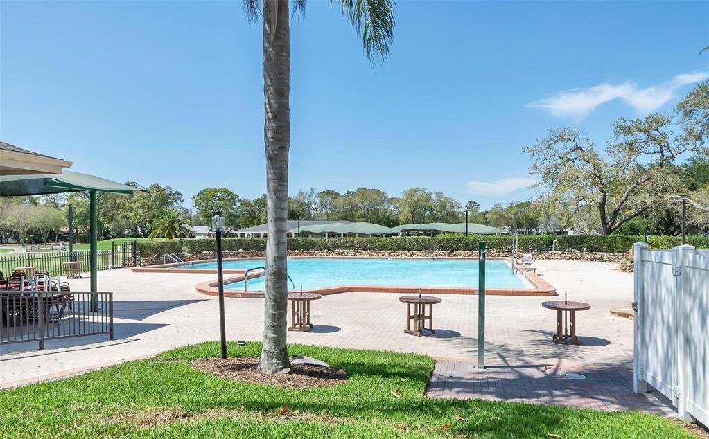 A swimming pool with a surrounding patio, palm tree, and outdoor seating area — 6409 WEDGEWOOD DRIVE, SPRING HILL, FL