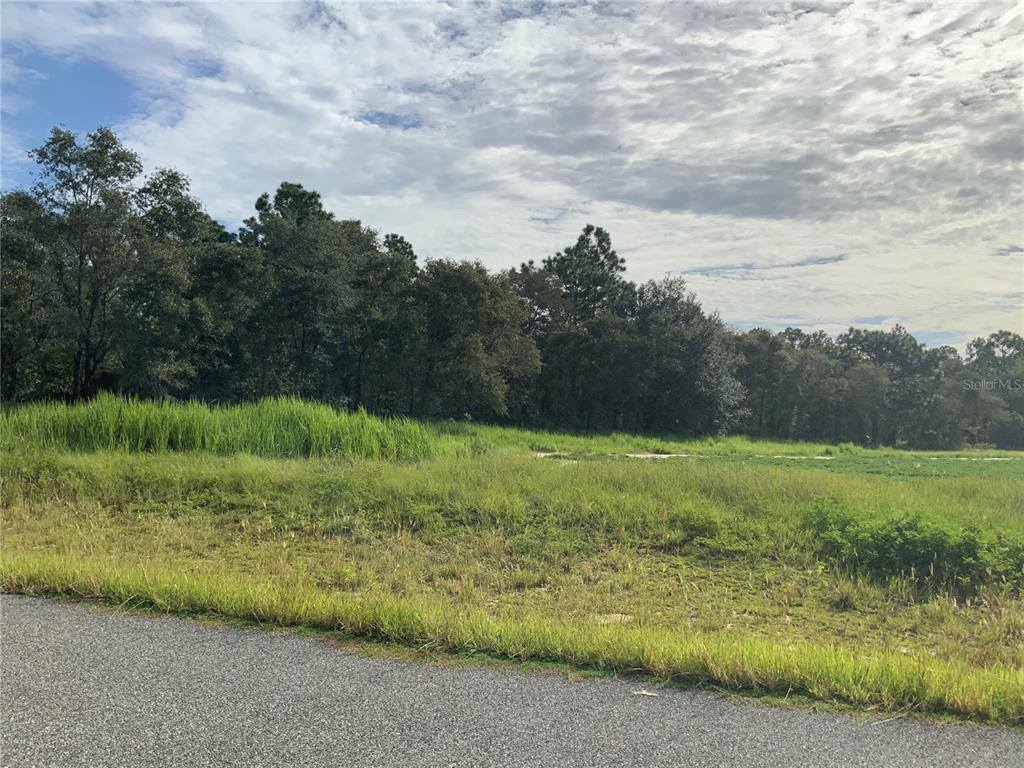 A grassy, undeveloped lot sits adjacent to a paved road with a treeline in back — SE 39TH.  LOT 33 STREET, MORRISTON, FL