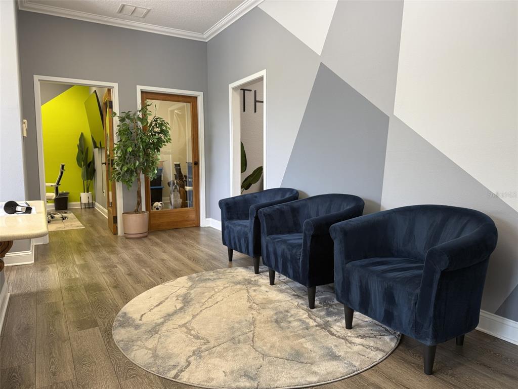A waiting area features three navy blue armchairs, a circular rug, and geometric wall paint — 1213 W MILLER STREET, FRUITLAND PARK, FL