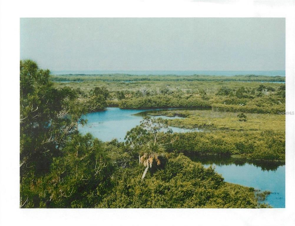 An aerial view of a coastal landscape featuring dense green vegetation and winding tidal waterways — 4218 RUDDER WAY, NEW PORT RICHEY, FL
