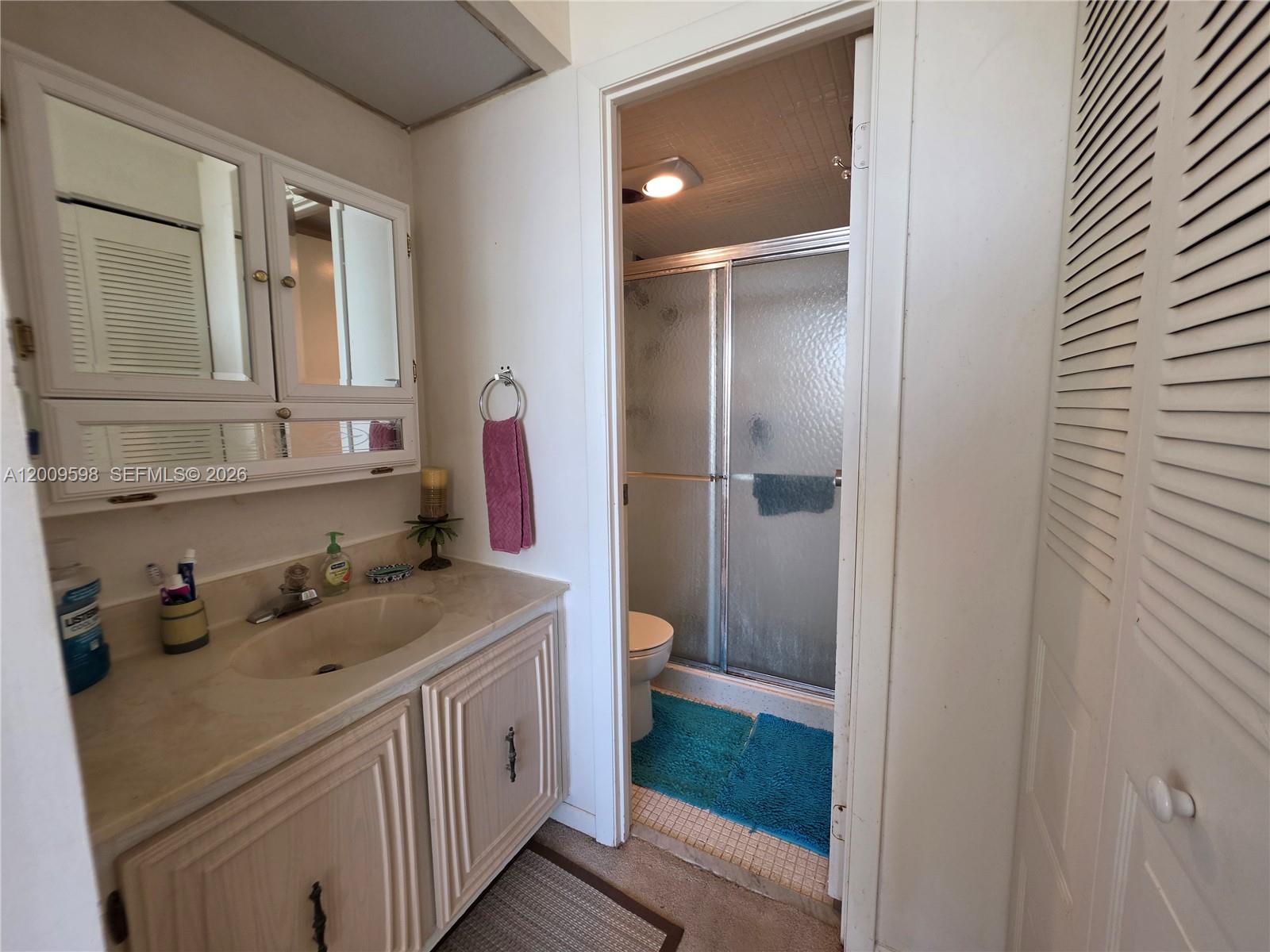 A bathroom features a vanity with a beige countertop and a separate shower area — 3771 Environ Blvd # 649, Lauderhill FL 33319, LAUDERHILL, FL