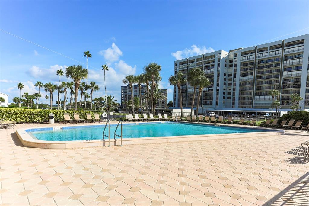 A swimming pool with a paved deck is surrounded by palm trees and apartment buildings — 1460 GULF BLVD UNIT 412, CLEARWATER BEACH, FL