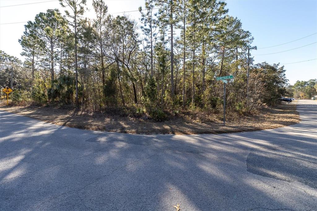 A paved road intersection features a wooded corner lot with a street sign — 30 BELLS OF IRELAND COURT, HOMOSASSA, FL