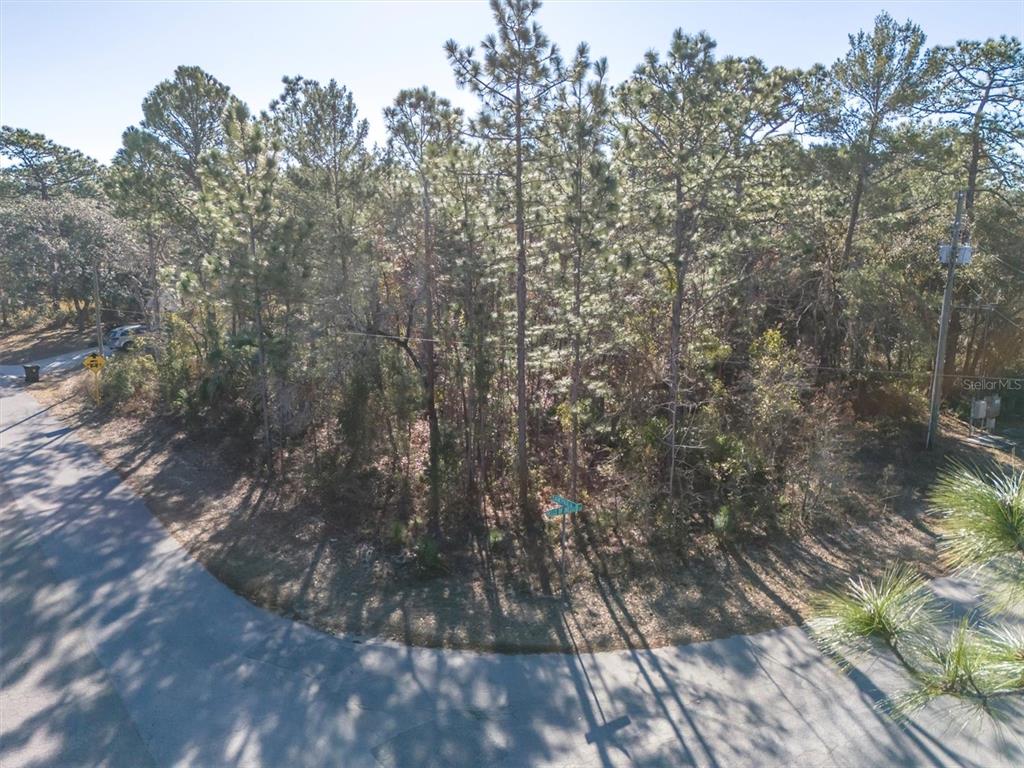 A wooded corner lot features a paved road and a street sign — 30 BELLS OF IRELAND COURT, HOMOSASSA, FL