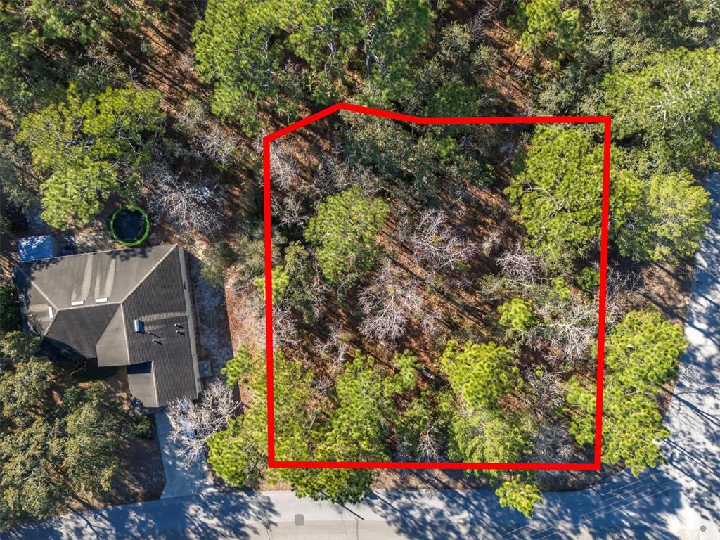 An aerial view shows a wooded, rectangular vacant lot outlined in red next to a house — 30 BELLS OF IRELAND COURT, HOMOSASSA, FL