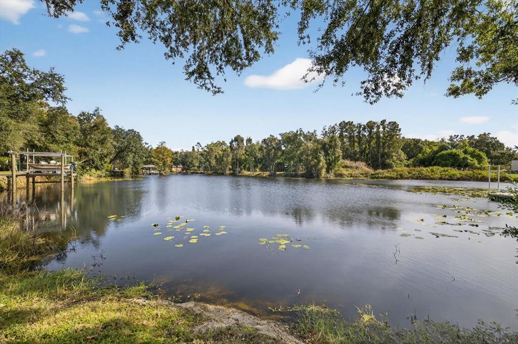 A calm lake with lily pads is framed by overhanging trees and a boat dock — 3926 COVE LAKE PLACE, LAND O LAKES, FL
