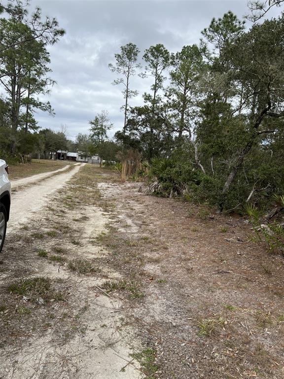 A dirt road leads toward a house surrounded by trees and vegetation — 0 NE 144 COURT, FORT MC COY, FL