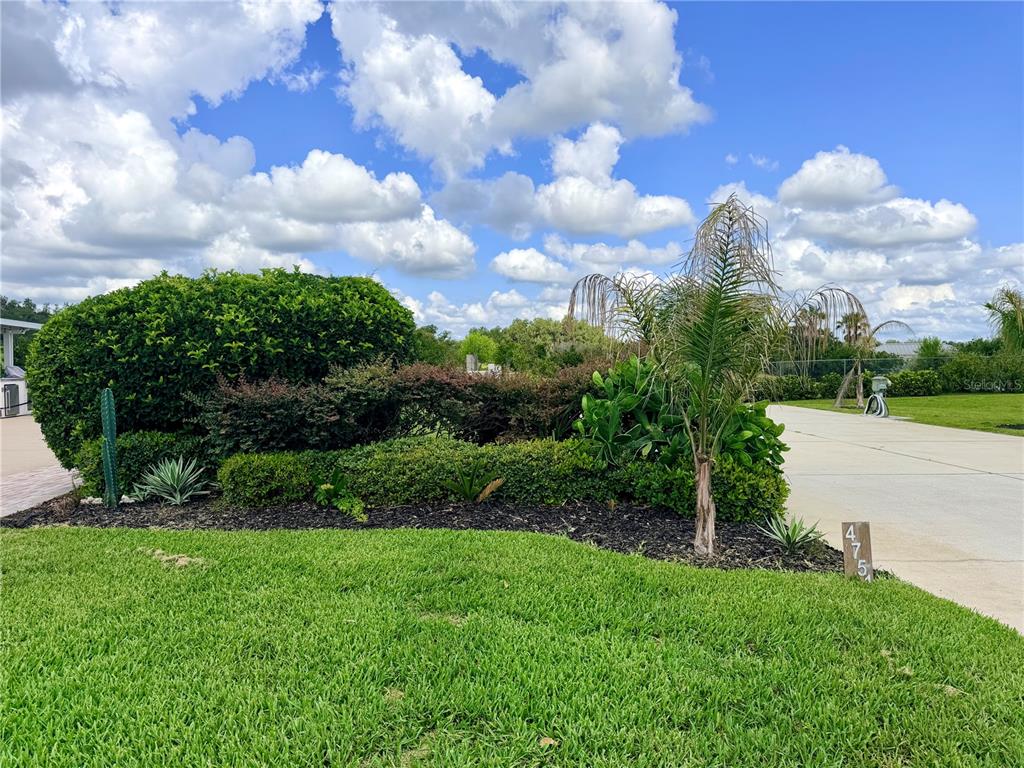 A landscaped garden bed with a palm tree and shrubs sits beside a concrete driveway — 4751 SE 94TH AVENUE, WEBSTER, FL