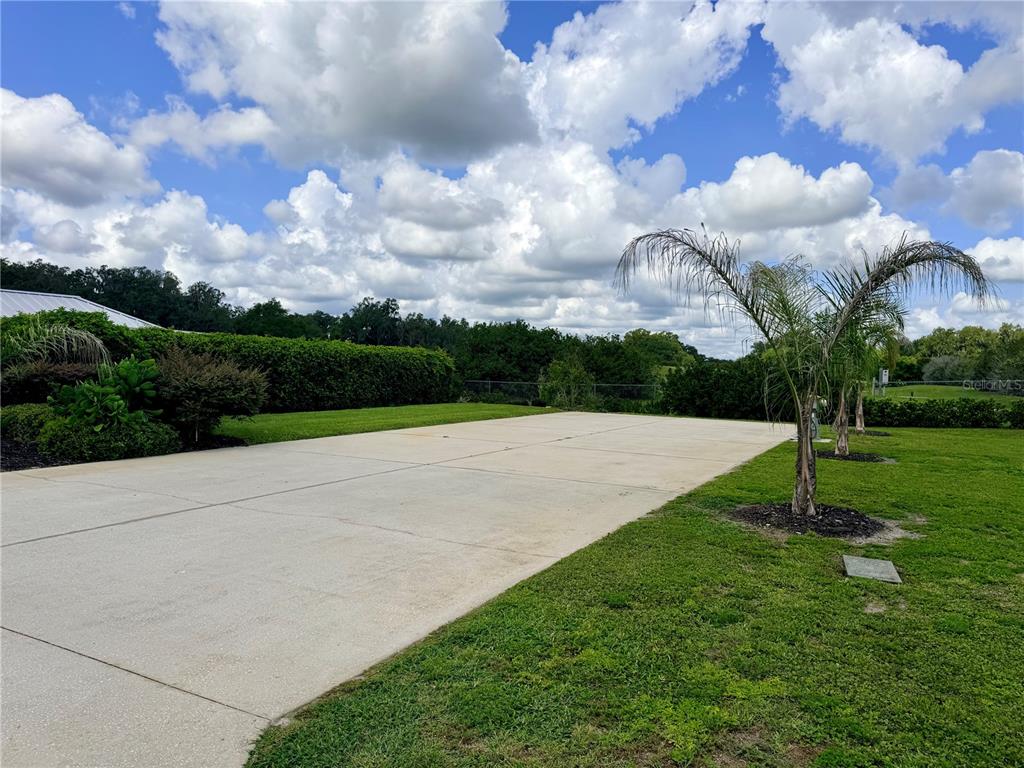 A concrete driveway extends across a grassy yard toward a line of trees and hedges — 4751 SE 94TH AVENUE, WEBSTER, FL