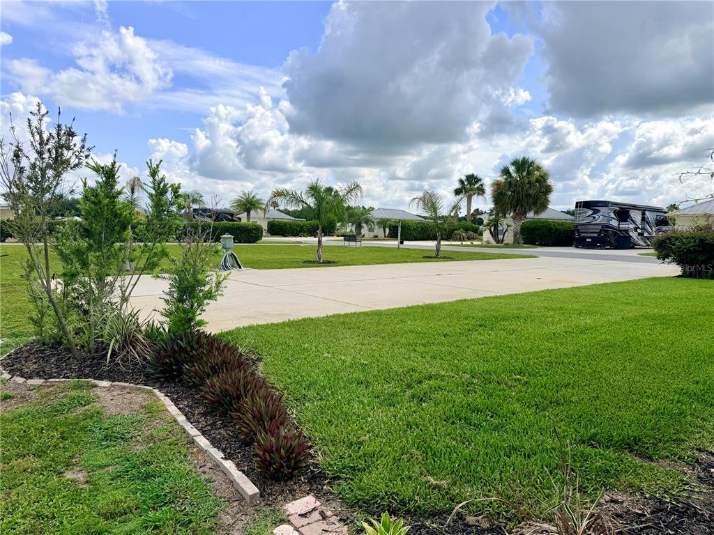 A paved driveway sits in front of a grassy lawn with palm trees and landscaping — 4751 SE 94TH AVENUE, WEBSTER, FL