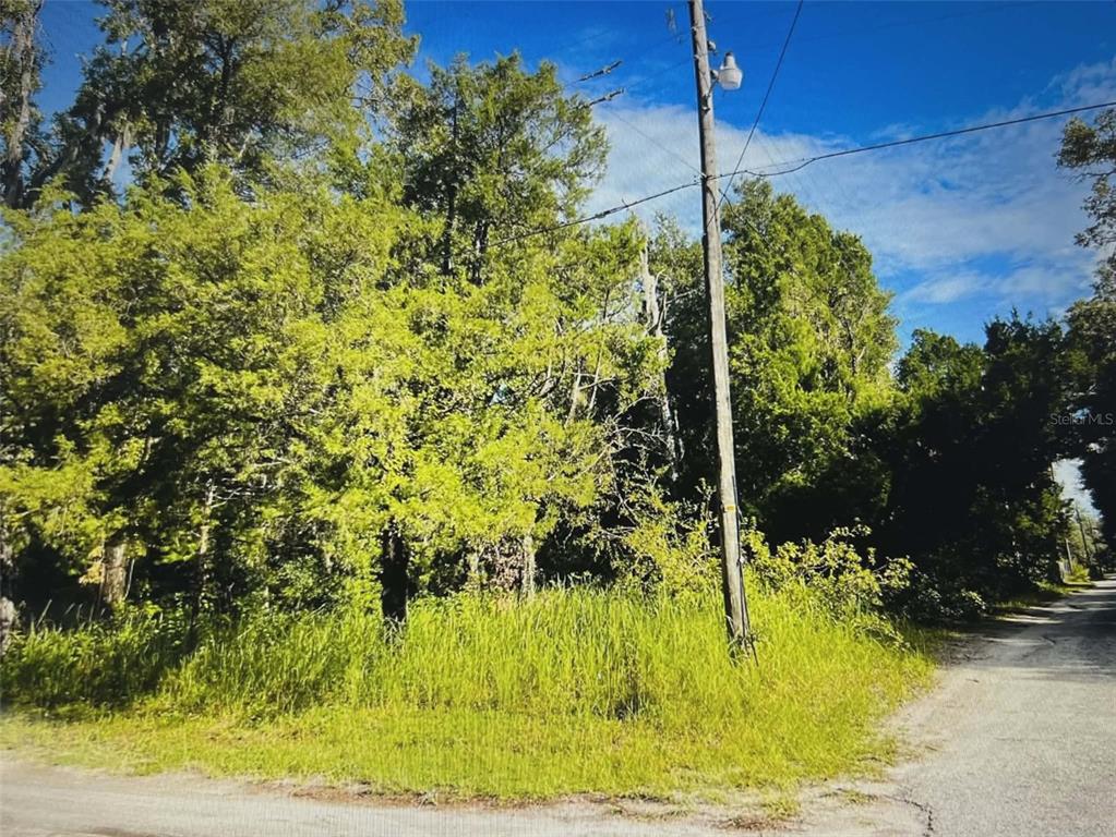 An aerial view shows a wooded residential lot with a green arrow pointing downward — 12139 RUTHERFORD LANE, HUDSON, FL