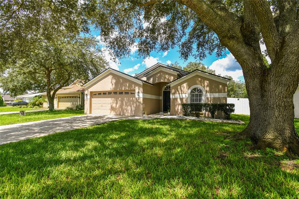 A tan single-story house with a two-car garage and a large tree in the front yard — 24541 LAUREL RIDGE DRIVE, LUTZ, FL