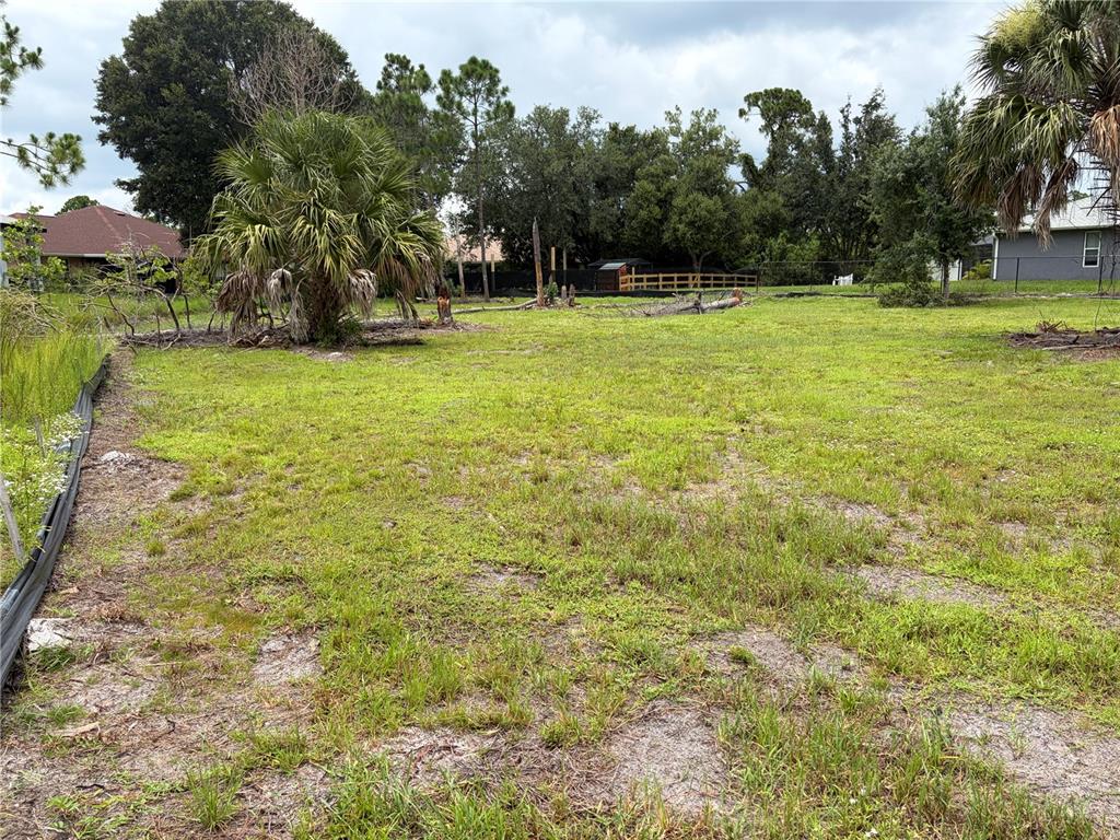 A grassy, undeveloped residential lot features scattered trees and a silt fence on the left — RASP COURT, NORTH PORT, FL
