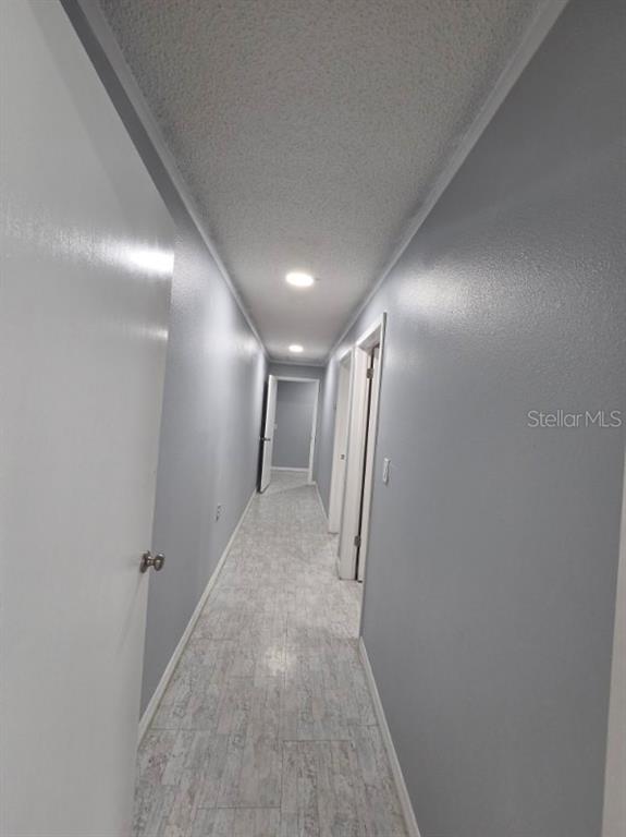 A long hallway features light gray walls, white trim, and light-colored wood-look flooring — 7154 CONGRESS STREET, NEW PORT RICHEY, FL