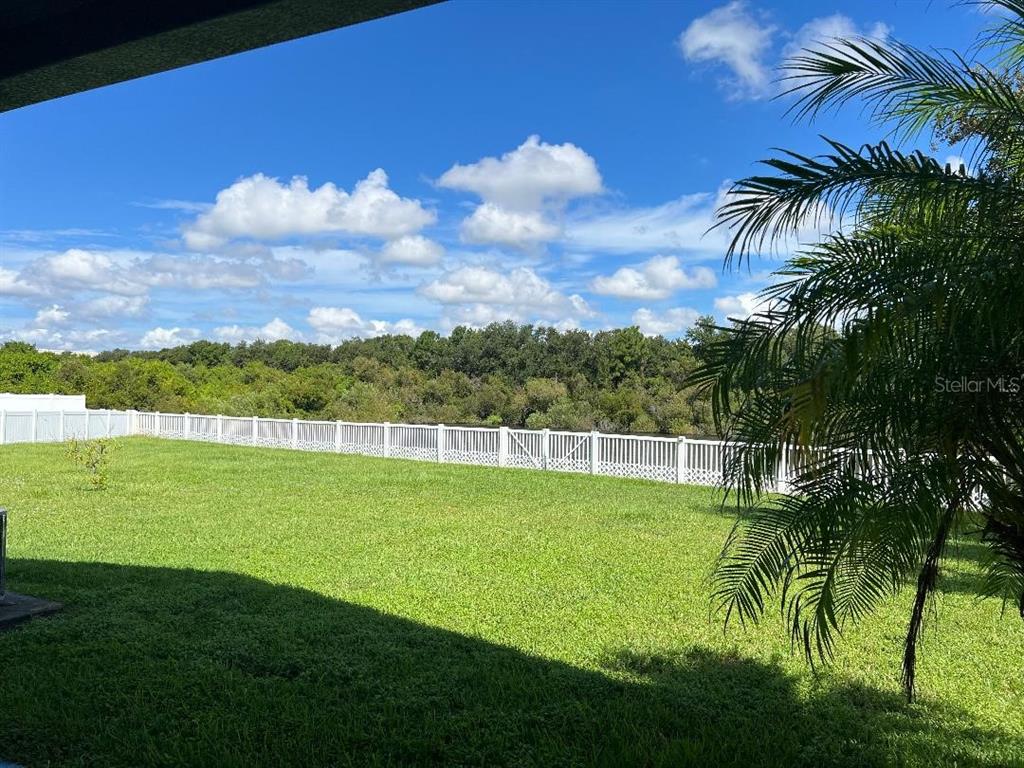 A grassy backyard features a white vinyl fence bordering a line of trees — 7514 FOREST MERE DRIVE, RIVERVIEW, FL