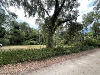 A large tree stands in the center of a grassy, wooded vacant lot — 16 CAROLINA HIGHWAY, PALM COAST, FL
