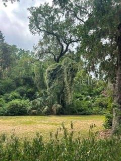 A grassy lot is bordered by dense trees and vegetation under a cloudy sky — 16 CAROLINA HIGHWAY, PALM COAST, FL