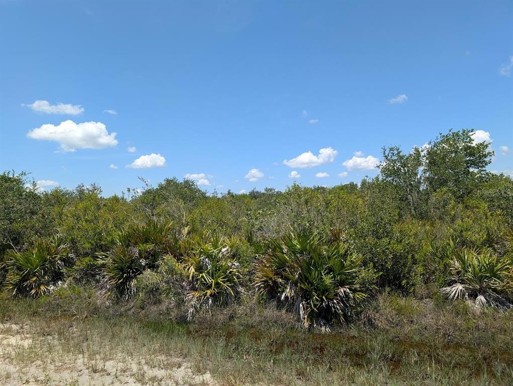 A view of a dense, undeveloped lot featuring native Florida scrub vegetation and palmettos — SARASOTA DRIVE, INDIAN LAKE ESTATES, FL