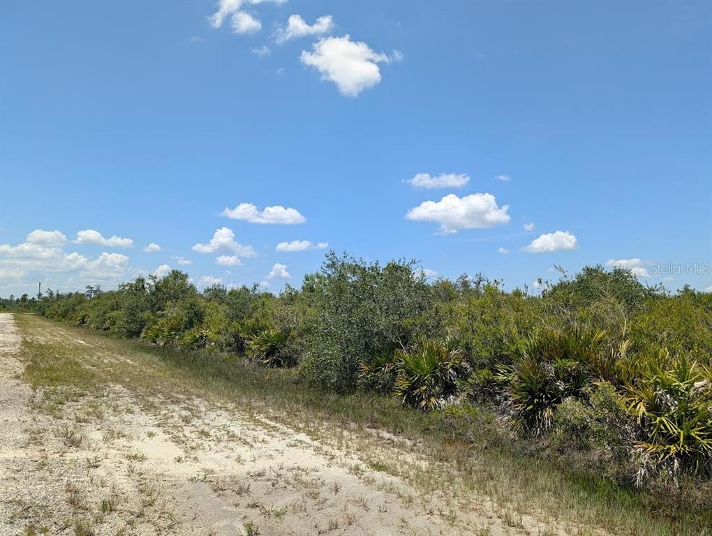 A dirt road runs alongside a dense area of shrubs and palmettos under a blue sky — SARASOTA DRIVE, INDIAN LAKE ESTATES, FL