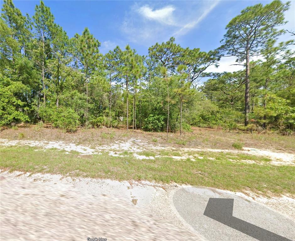 A vacant, wooded lot with sandy ground and a paved road in the foreground — 1956 W WAVECREST DRIVE, DUNNELLON, FL