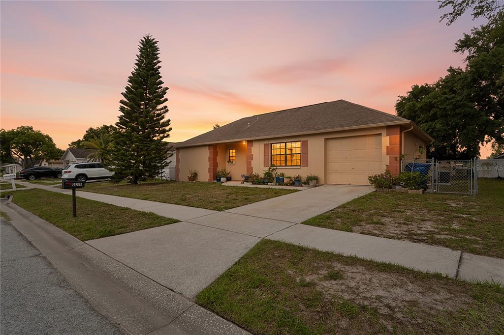 A single-story house with a tan stucco exterior, a garage, and a tall pine tree — 1238 FUCHSIA DRIVE, HOLIDAY, FL