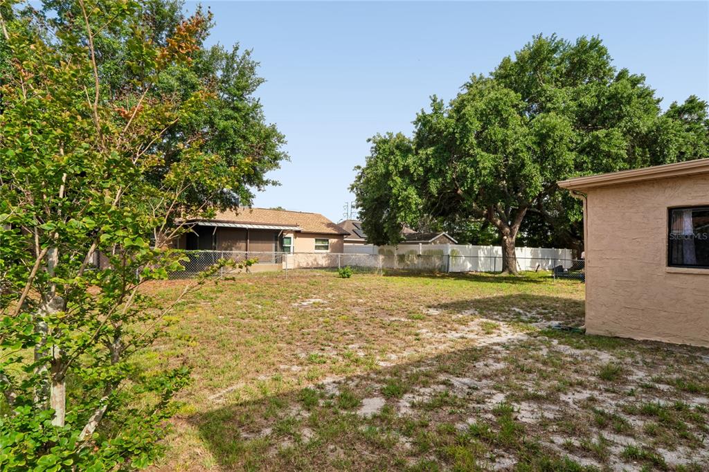 A grassy backyard features a chain-link fence, mature trees, and a beige house exterior — 1238 FUCHSIA DRIVE, HOLIDAY, FL