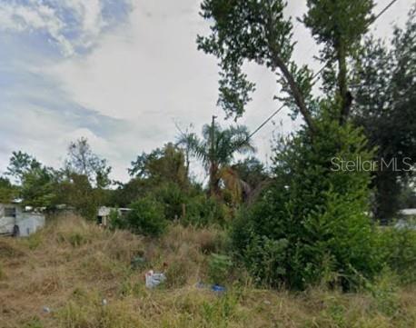 An overgrown vacant lot features tall grass, various trees, and a utility pole — 00 PURE WATER WAY, ZEPHYRHILLS, FL