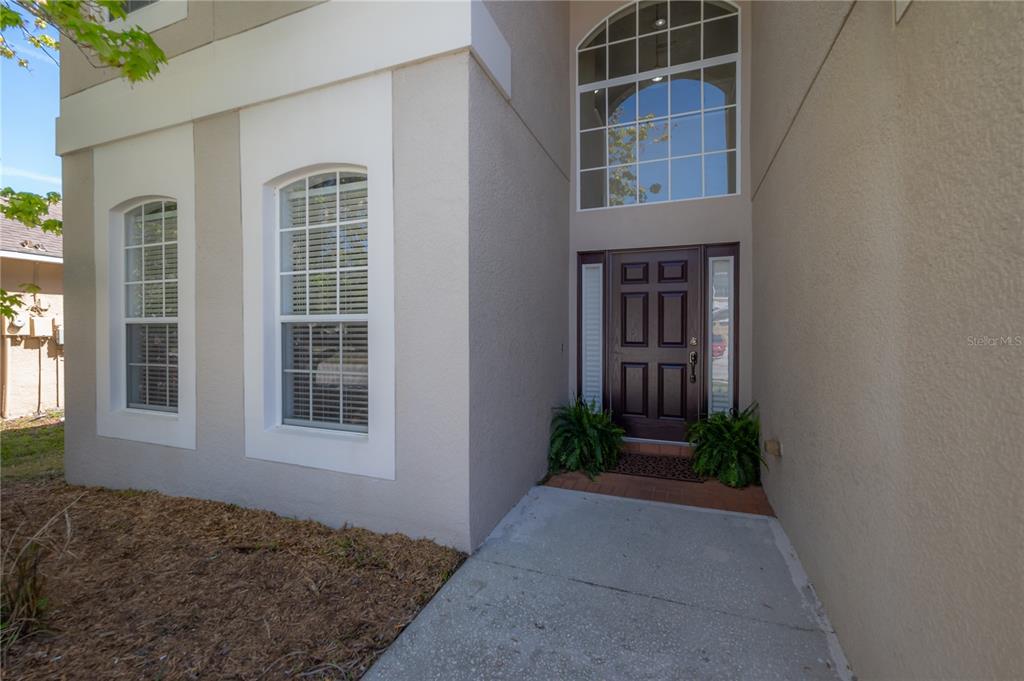 The exterior of a house features a concrete walkway leading to a dark brown front door — 9224 LOST MILL DRIVE, LAND O LAKES, FL