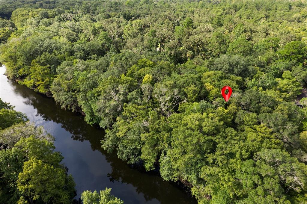 An aerial view shows a river flowing alongside a dense, wooded forest with a location pin — 6409 E RIVER ROAD, HERNANDO, FL
