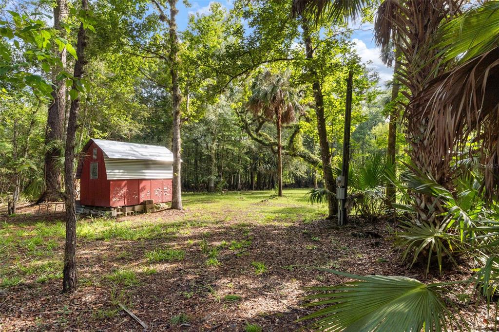 A small red shed sits in a wooded lot with scattered trees and palm foliage — 6409 E RIVER ROAD, HERNANDO, FL