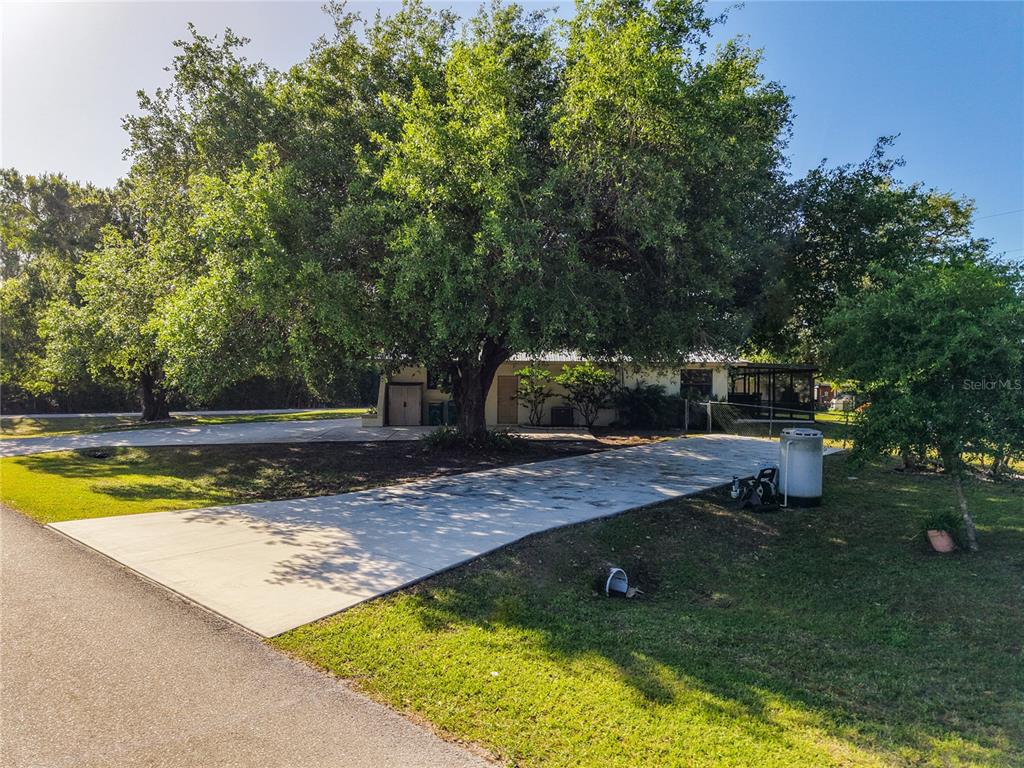 A large tree shades a concrete driveway leading to the side of a single-story house — 27505 SENATOR DRIVE, PUNTA GORDA, FL