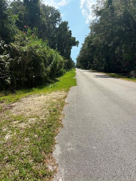 A paved road stretches into the distance, flanked by dense trees and grassy shoulders — 00 NW 166TH STREET, TRENTON, FL