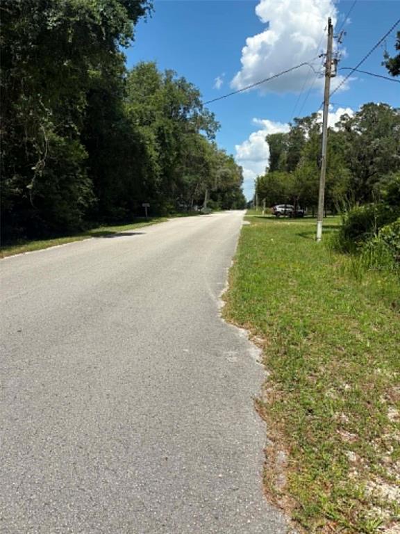 A paved road stretches into the distance, flanked by trees and a grassy shoulder — 00 NW 166TH STREET, TRENTON, FL