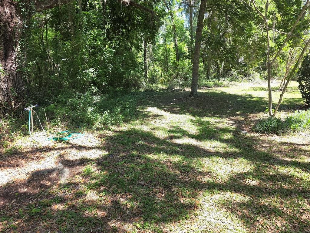 A grassy, shaded backyard area features mature trees and a garden hose on the ground — 13499 OLD CRYSTAL RIVER ROAD, BROOKSVILLE, FL