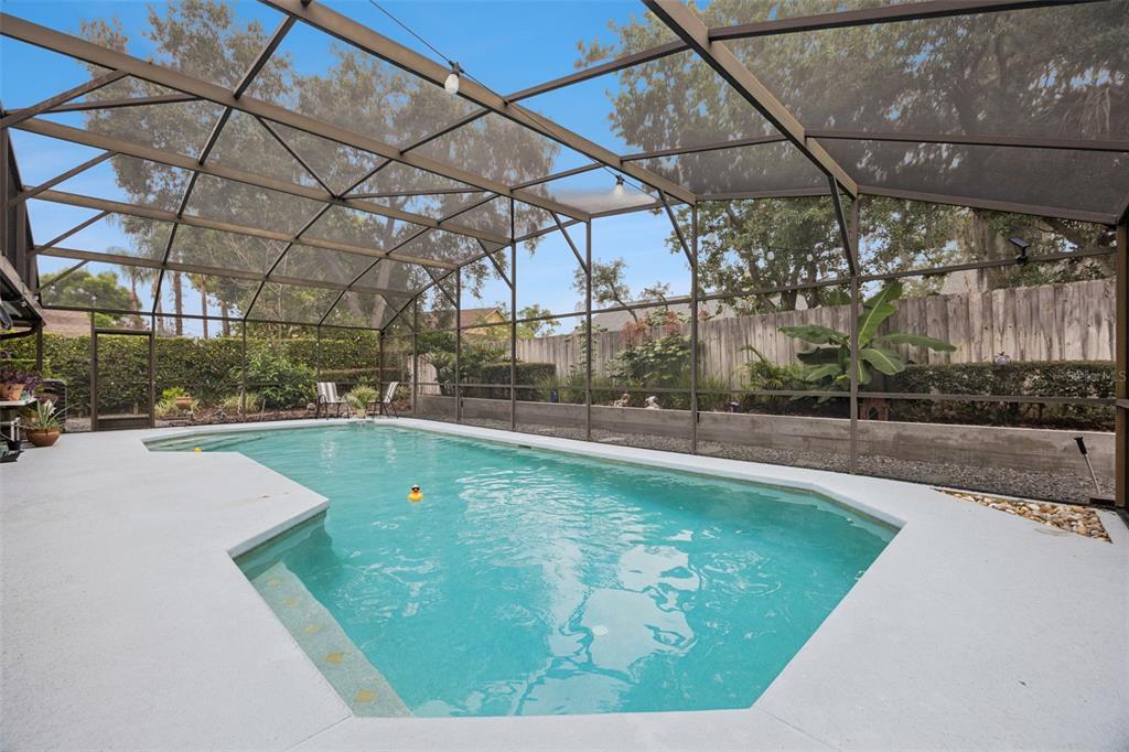 A screened-in swimming pool with a light-colored concrete deck and a wooden privacy fence — 680 TOMLINSON TERRACE, LAKE MARY, FL