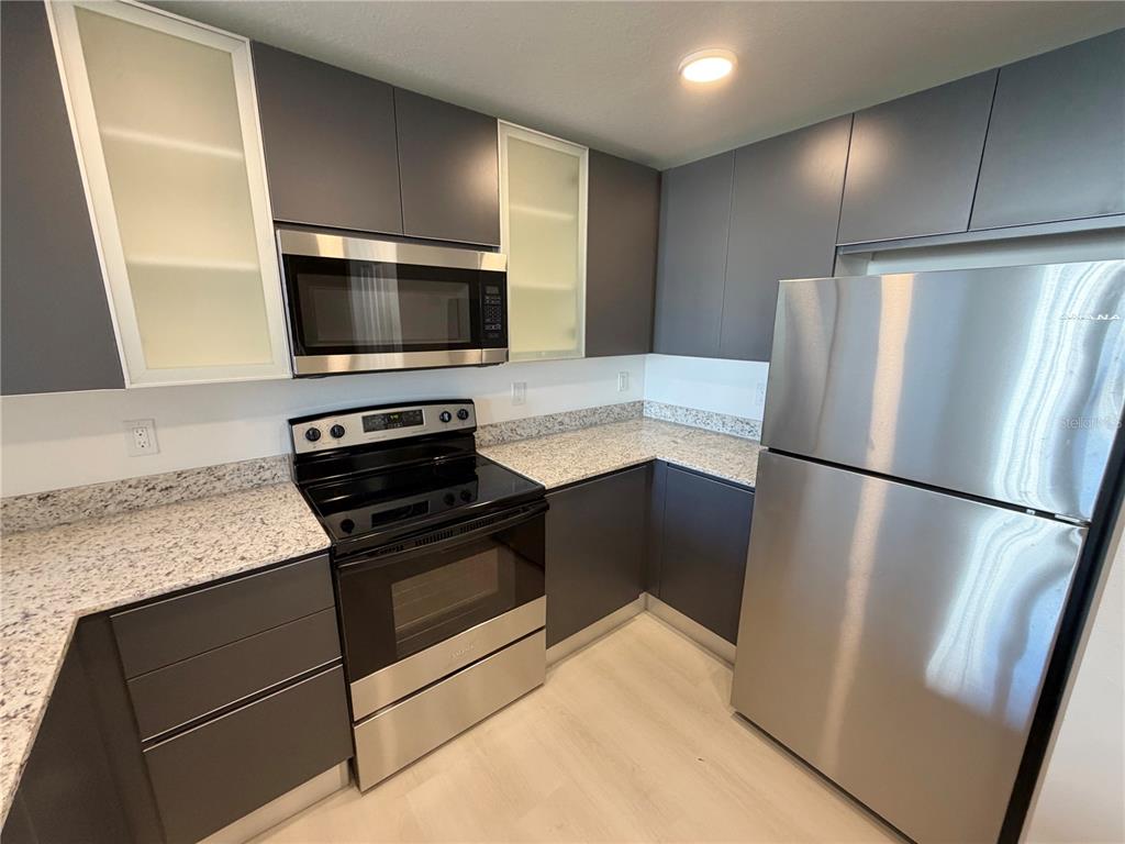 A kitchen features dark gray cabinets, stainless steel appliances, and speckled granite countertops — 5587 MILLENIA PARK BLVD UNIT 217, ORLANDO, FL