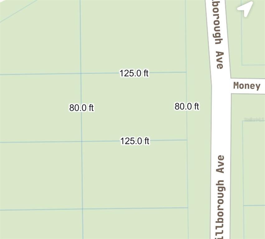 905 E HILLSBOROUGH AVENUE, FLORAHOME, FL — photo 3 of 11
