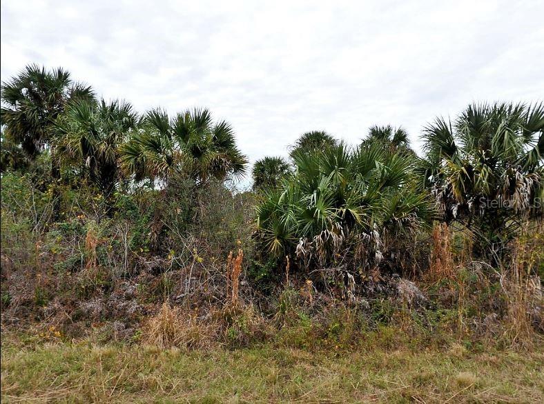 E FIVELEAF DR,, NORTH PORT, FL — photo 2 of 5