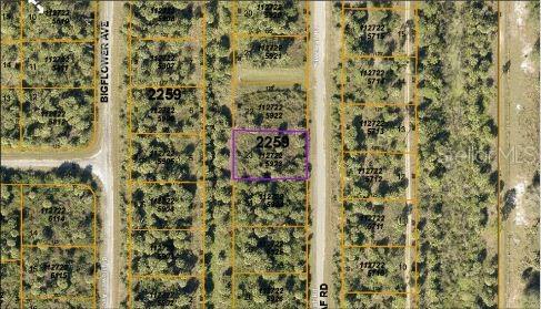 E FIVELEAF DR,, NORTH PORT, FL — photo 5 of 5