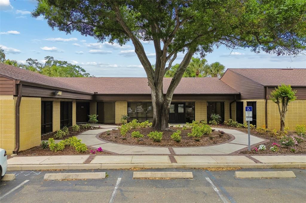 A single-story commercial building with a central tree, landscaped circular walkway, and parking lot — 611 DRUID ROAD E UNIT 101-110, CLEARWATER, FL
