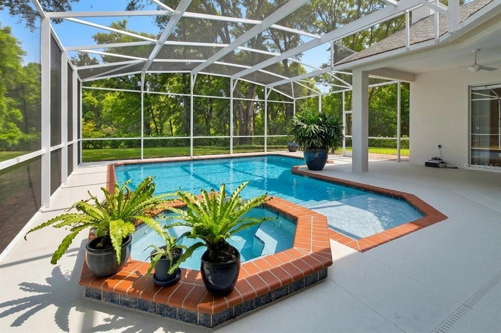 A screened-in pool area features a brick-trimmed spa, a swimming pool, and potted plants — 1483 W SILVER HAMMOCK, DELAND, FL