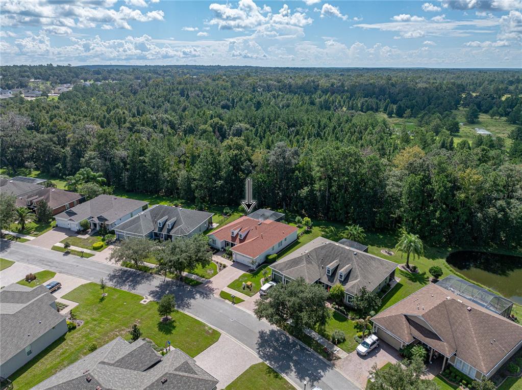19808 TATTNALL WAY, BROOKSVILLE, FL — photo 2 of 30