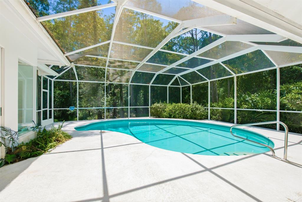A screened-in swimming pool with a concrete deck surrounded by lush trees — 3951 BRIGHTSIDE LANE, PALM HARBOR, FL