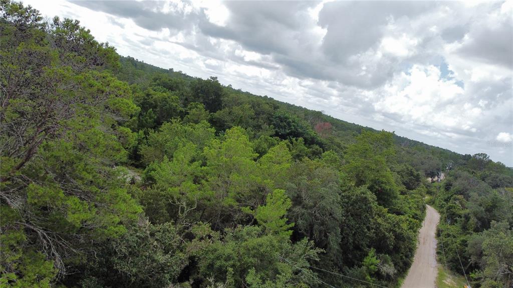 An aerial view shows a dirt road running alongside a dense, wooded forest area — ST CLAIRE LAKE DRIVE, DELAND, FL