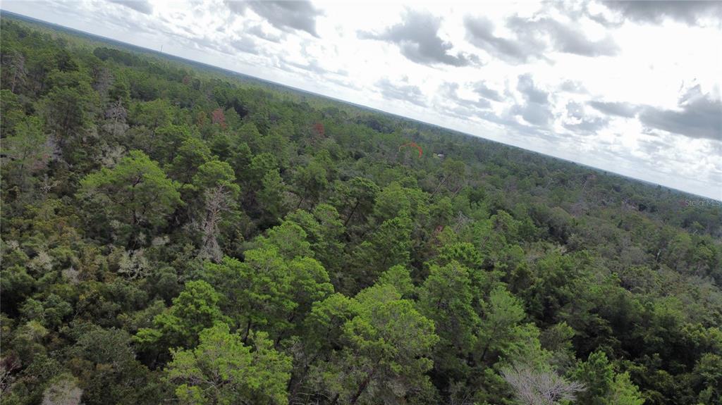 An aerial view shows a dense, wooded forest landscape under a cloudy sky — ST CLAIRE LAKE DRIVE, DELAND, FL
