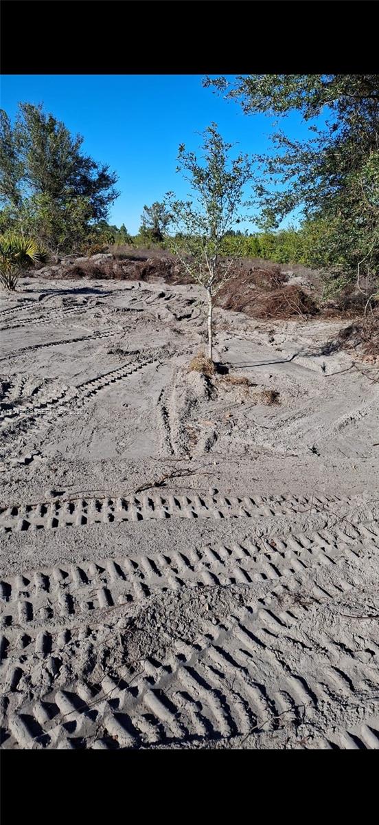 A sandy, cleared lot features tire tracks and a single small tree under a blue sky — 4005 E 15th St, Lehigh Acres FL 33972, LEHIGH ACRES, FL