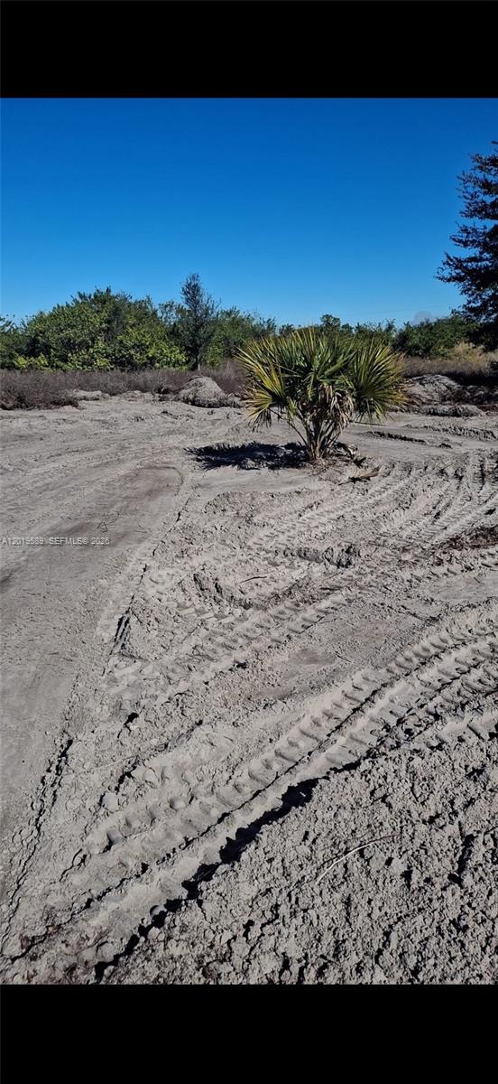 A sandy, cleared lot features a single small palm tree under a clear blue sky — 4005 E 15th St, Lehigh Acres FL 33972, LEHIGH ACRES, FL