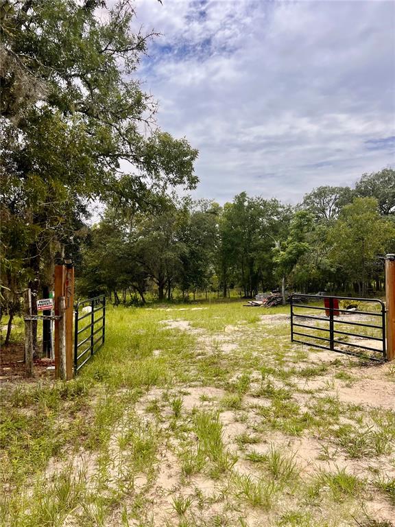 A metal gate stands between two illuminated posts at the entrance to a wooded property — 6281 SW 169TH COURT, OCALA, FL