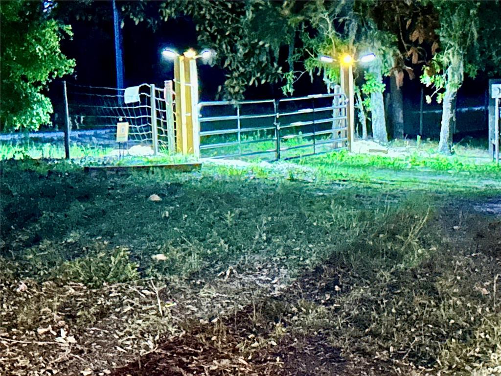 A dirt driveway leads through an open metal gate into a wooded, grassy lot — 6281 SW 169TH COURT, OCALA, FL