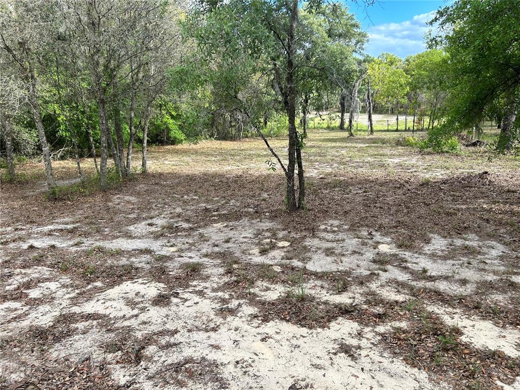 A sandy, partially cleared lot is surrounded by trees and sparse vegetation — 6281 SW 169TH COURT, OCALA, FL